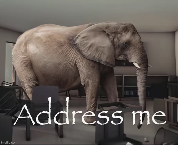 Address me elephant | image tagged in address me elephant | made w/ Imgflip meme maker