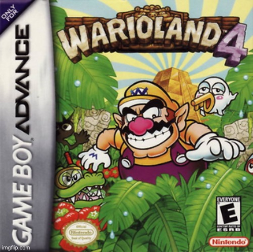 Wario Land 4 | image tagged in wario land 4 | made w/ Imgflip meme maker