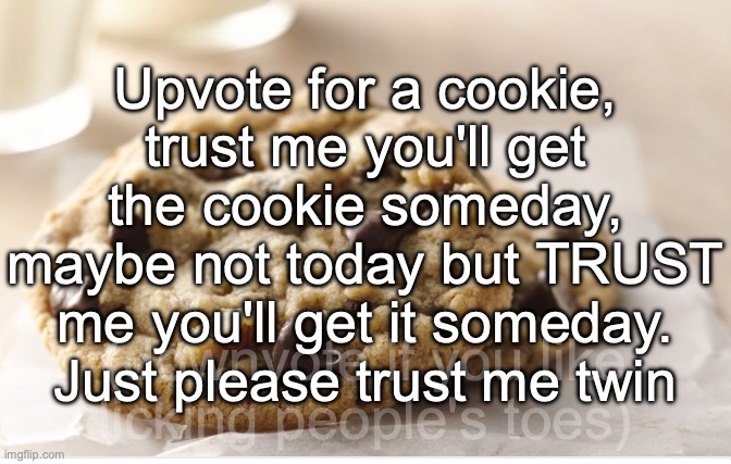 Guys PLEASE just trust me on this one | Upvote for a cookie, trust me you'll get the cookie someday, maybe not today but TRUST me you'll get it someday. Just please trust me twin; (downvote if you like licking people's toes) | image tagged in chocolate chip cookie,memes,funny | made w/ Imgflip meme maker