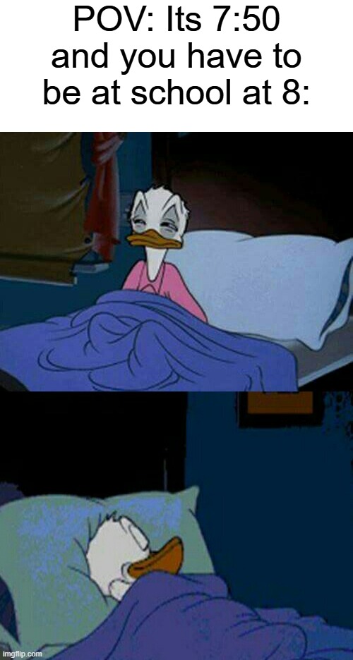 sleepy donald duck in bed | POV: Its 7:50 and you have to be at school at 8: | image tagged in sleepy donald duck in bed | made w/ Imgflip meme maker