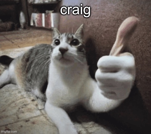 cat thumbs up | craig | image tagged in cat thumbs up | made w/ Imgflip meme maker