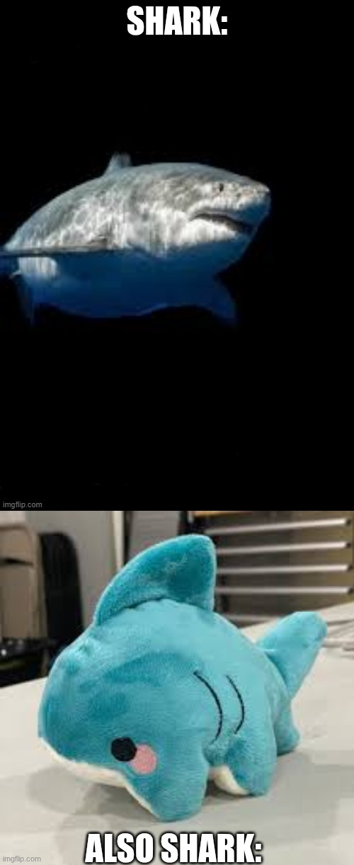 Shark vs shork | Shark:; Also shark: | image tagged in terry the fat shark template,shark,sharks | made w/ Imgflip meme maker