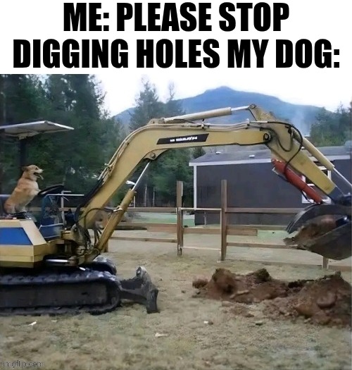 Me: Please Stop Digging Holes | Me: please stop digging holes my dog: | image tagged in chrisjoines1 | made w/ Imgflip meme maker