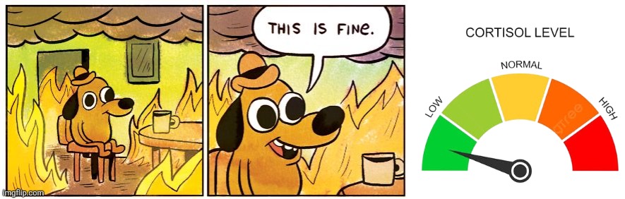 image tagged in memes,calm,doggy | made w/ Imgflip meme maker