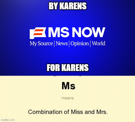 MSNOW,  By Karens, For Karens | By Karens; For Karens | image tagged in msnow,karen,karens | made w/ Imgflip meme maker