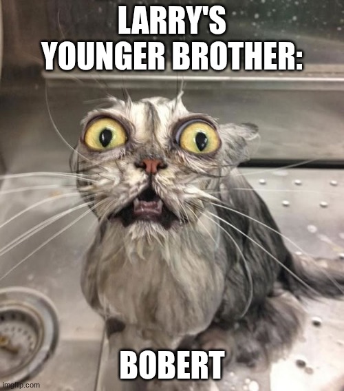 Wet Scary Cat | Larry's Younger Brother:; Bobert | image tagged in wet scary cat | made w/ Imgflip meme maker