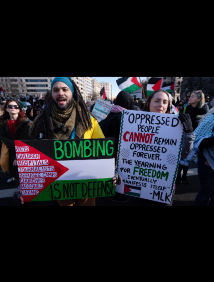 Funny Blank Meme Template