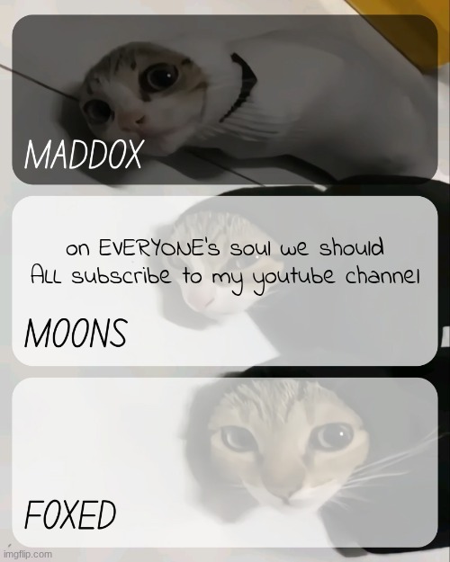 maddox, moons, n foxed kitty temp | on EVERYONE's soul we should ALL subscribe to my youtube channel | image tagged in maddox moons n foxed kitty temp | made w/ Imgflip meme maker