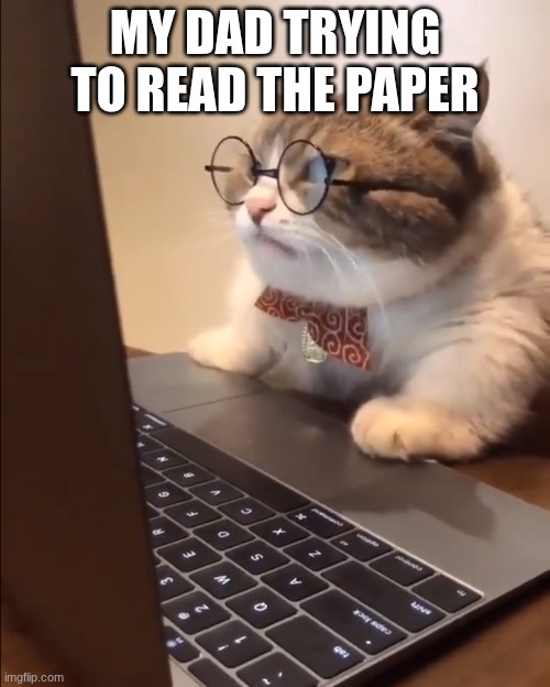 research cat | my dad trying to read the paper | image tagged in research cat | made w/ Imgflip meme maker