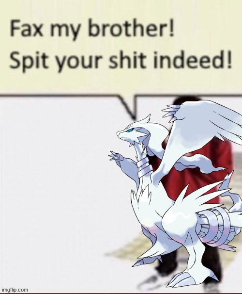 reshiram fax my brother | image tagged in reshiram fax my brother | made w/ Imgflip meme maker