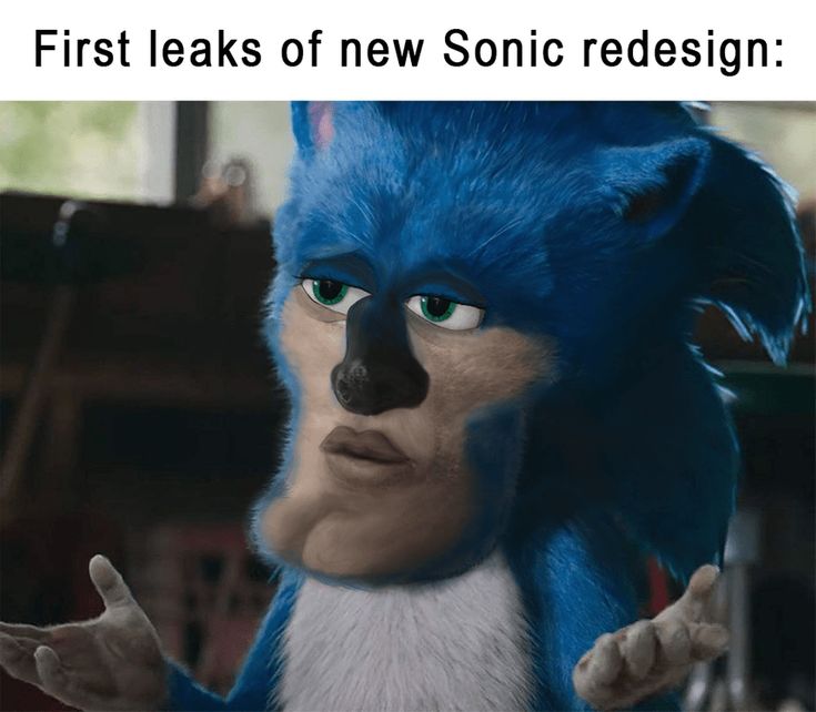 SONIC THE FUNNY_HOG Blank Meme Template