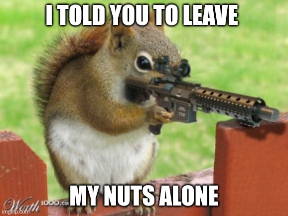 Squirrel | I told you to leave; my nuts alone | image tagged in my nuts | made w/ Imgflip meme maker