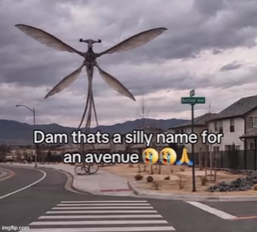 is it windy for any of you guys? no? just me? okay | made w/ Imgflip meme maker