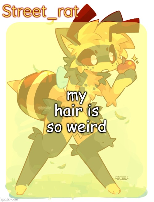 the top of my hair is flat while the front is curly like how TwT | my hair is so weird | image tagged in rats beecat temp | made w/ Imgflip meme maker