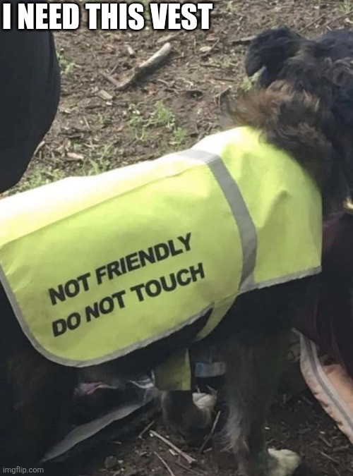 I Need This Vest | I need this vest | image tagged in chrisjoines1 | made w/ Imgflip meme maker