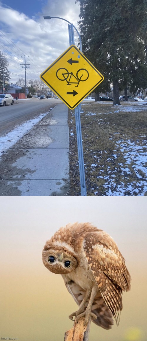 Upside down bike sign | image tagged in upside down owl look,traffic sign,bike,sign,memes,you had one job | made w/ Imgflip meme maker