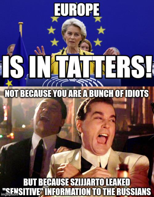 Not because you are a bunch of idiots; but because Szijjarto leaked "sensitive" information to the Russians | image tagged in memes,good fellas hilarious | made w/ Imgflip meme maker