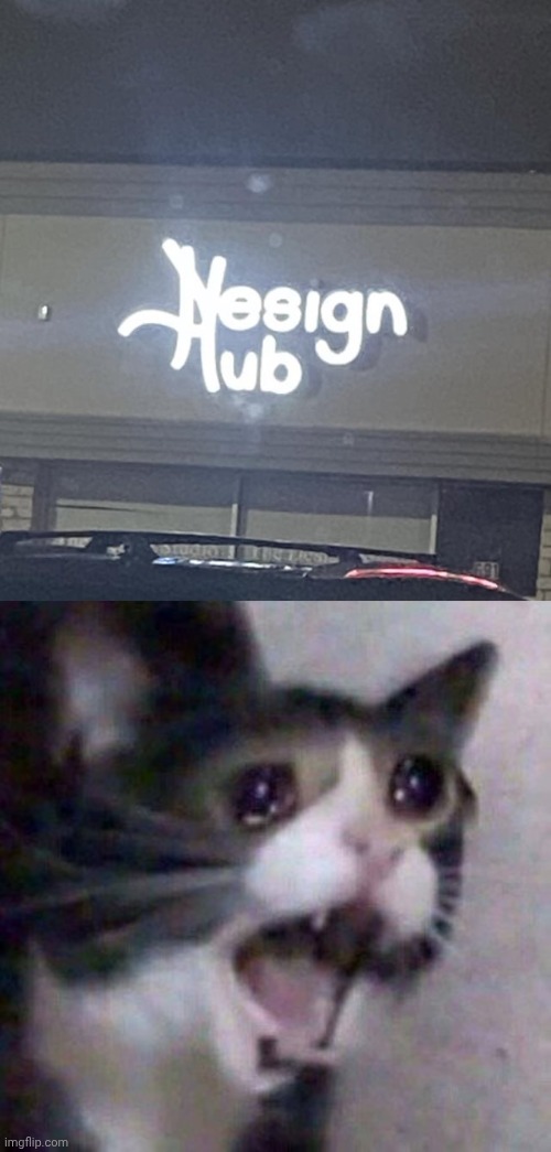 Design Hub or something logo | image tagged in screaming cat meme,hub,store,memes,you had one job,logo | made w/ Imgflip meme maker