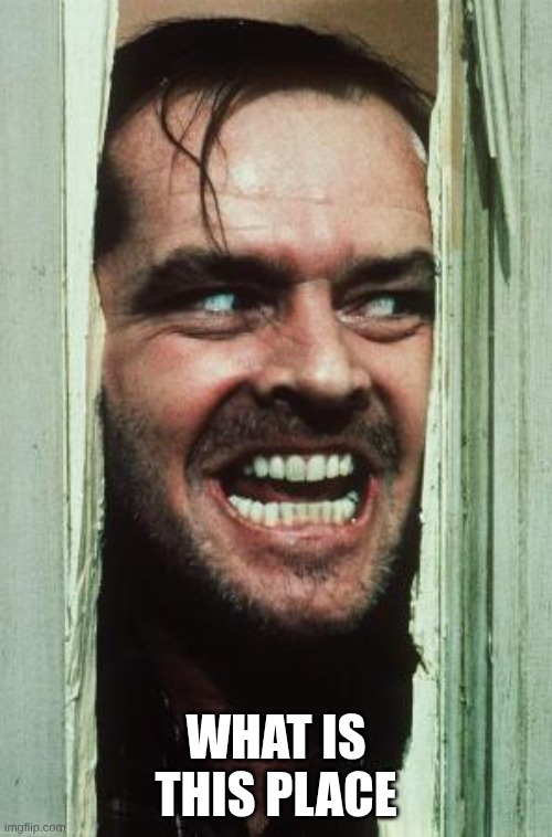 hii | what is this place | image tagged in memes,here's johnny | made w/ Imgflip meme maker