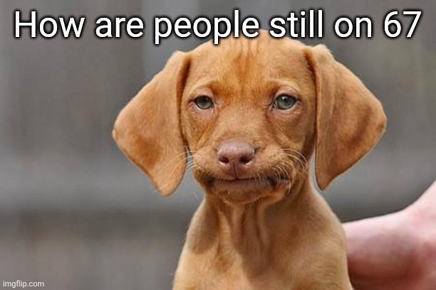 Dissapointed puppy | How are people still on 67 | image tagged in dissapointed puppy | made w/ Imgflip meme maker