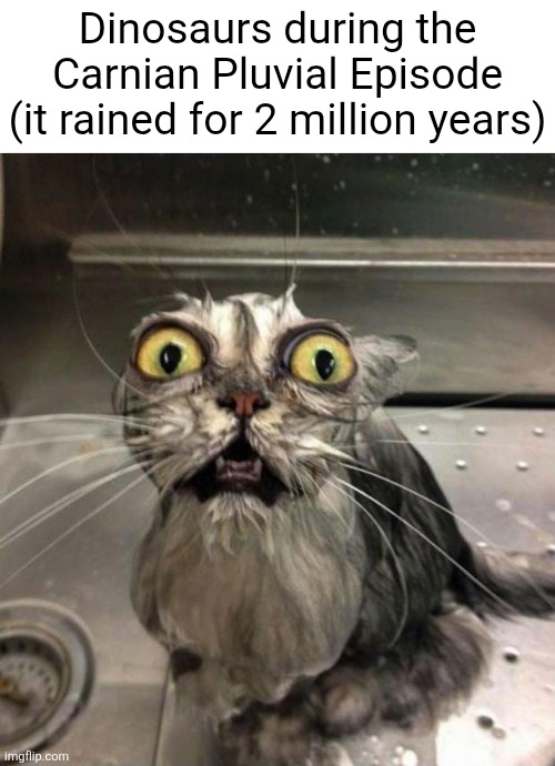 Carnian Pluvial Episode Meme | Dinosaurs during the Carnian Pluvial Episode (it rained for 2 million years) | image tagged in astonished wet cat | made w/ Imgflip meme maker
