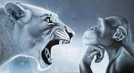 Lion vs Monkey Blank Meme Template