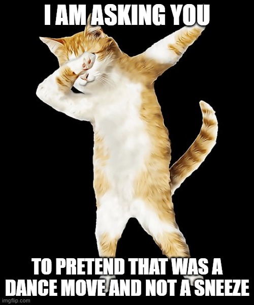 dabbing cat | i am asking you; to pretend that was a dance move and not a sneeze | image tagged in dabbing cat | made w/ Imgflip meme maker