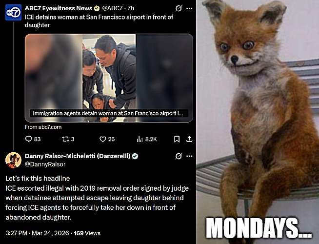 Mondays... | image tagged in liberal media,propaganda,politics,illegal immigrants,tired fox | made w/ Imgflip meme maker