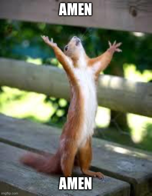 Praise Squirrel | Amen Amen | image tagged in praise squirrel | made w/ Imgflip meme maker