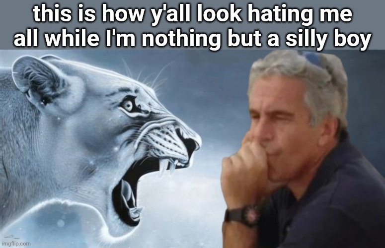 tiger yelling at jeffrey epstein | this is how y'all look hating me all while I'm nothing but a silly boy | image tagged in tiger yelling at jeffrey epstein | made w/ Imgflip meme maker