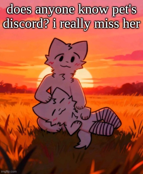 That0neguy announcement temp | does anyone know pet's discord? i really miss her | image tagged in that0neguy announcement temp | made w/ Imgflip meme maker