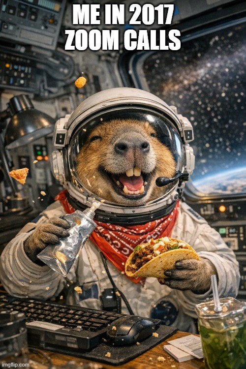 me in 2017 zoom calls | image tagged in capybara | made w/ Imgflip meme maker