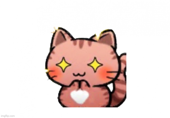 Sparkle eye cat | image tagged in sparkle eye cat | made w/ Imgflip meme maker