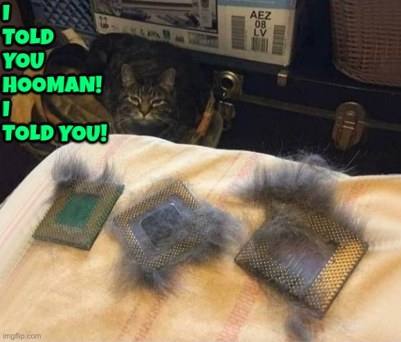 I Told You | I told you hooman! I told you! | image tagged in cats,funny cats,i told you,they told me but i didn't listen,angry cat,broken computer | made w/ Imgflip meme maker