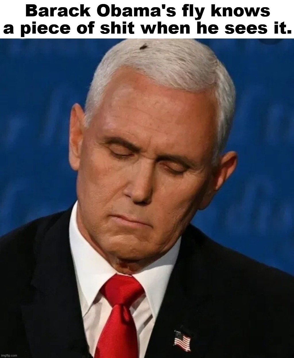 Barack Obama's fly knows a piece of shit when he sees it.