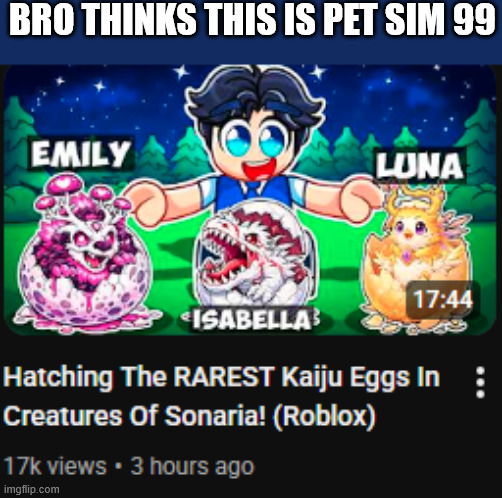bro thinks this is pet sim 99 | image tagged in roblox,content farms | made w/ Imgflip meme maker