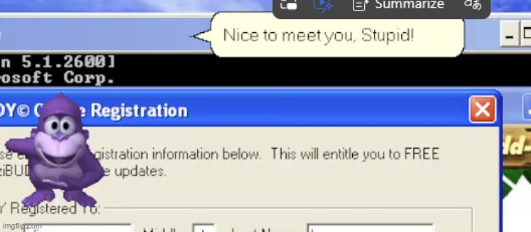 Nice to meet you, Stupid! | image tagged in bonzibuddy,bonzi,windows xp,joel,stupid,bingus | made w/ Imgflip meme maker
