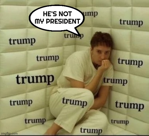 TDS sufferer | He's not my President | image tagged in tds sufferer | made w/ Imgflip meme maker