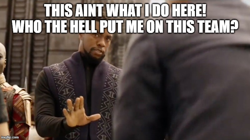 black panther | This aint what I do here! Who the hell put me on this team? | image tagged in black panther | made w/ Imgflip meme maker