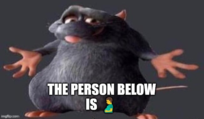 Shrugging Rat | THE PERSON BELOW
IS 🫃 | image tagged in shrugging rat | made w/ Imgflip meme maker