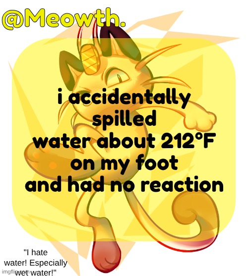 it stung a little but generally it wasn't bad but it was only a single drop so like | i accidentally spilled water about 212°F on my foot and had no reaction | image tagged in meowth | made w/ Imgflip meme maker