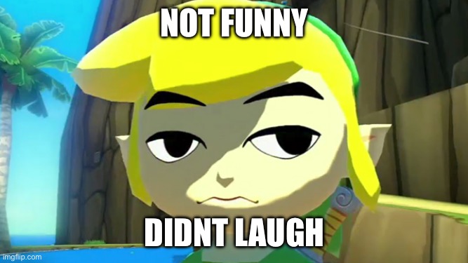 Zelda | Not funny; Didnt laugh | image tagged in zelda | made w/ Imgflip meme maker