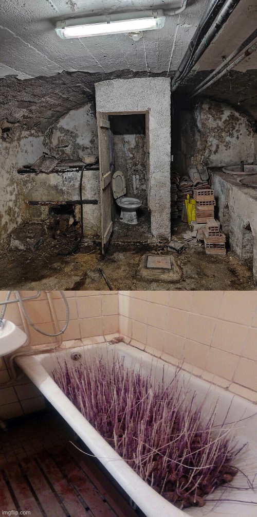 Not the most welcoming toilet & a painful bathtub | image tagged in cursed images,painful,bathtub,toilets,basement,oh hell no | made w/ Imgflip meme maker