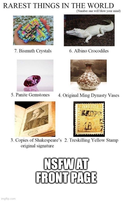 rarest things | NSFW at front page | image tagged in rarest things | made w/ Imgflip meme maker