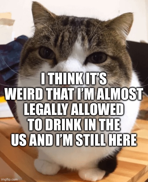 It’s weird that I’m still here after a solid 5-6 years on imgflip. | I think it’s weird that I’m almost legally allowed to drink in the US and I’m still here | image tagged in oh the misery original | made w/ Imgflip meme maker