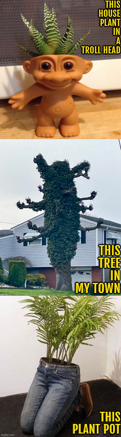 Cursed Plants, Pots & Tree | This house plant in a troll head; This tree in my town; This plant pot | image tagged in cursed images,plants,tree,troll,what a terrible day to have eyes,weird stuff | made w/ Imgflip meme maker