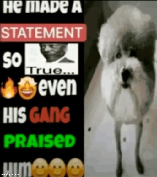 he made a statement so true | image tagged in he made a statement so true | made w/ Imgflip meme maker