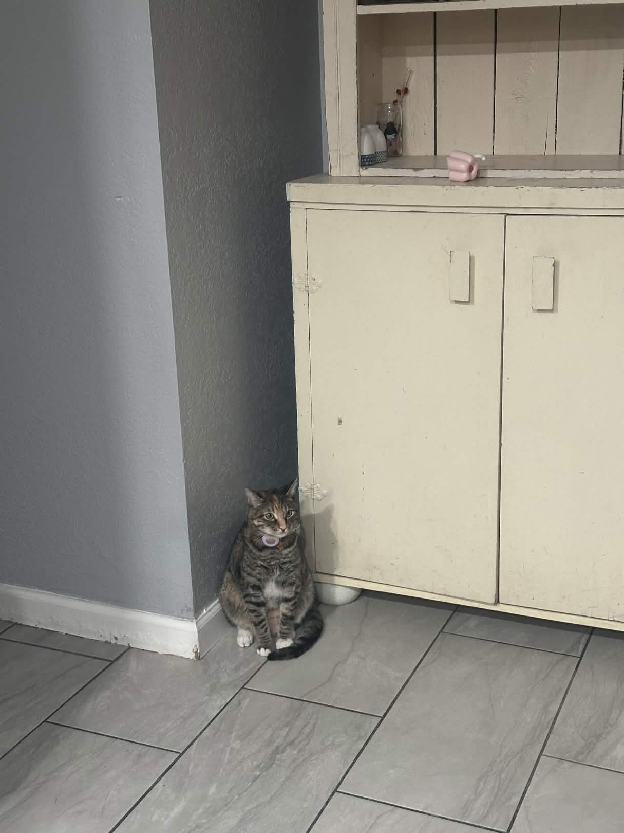 Lonely Maka Blank Meme Template