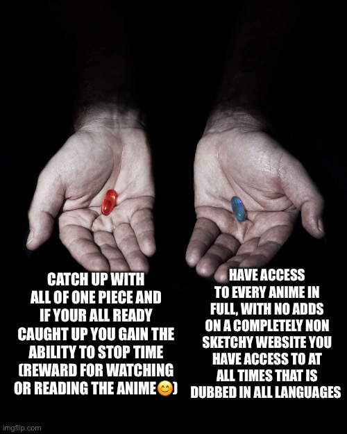 Have access to every anime in full, with no adds on a completely non sketchy website you have access to at all times that is dubbed in all languages; Catch up with all of One Piece and if your all ready caught up you gain the ability to stop time (reward for watching or reading the anime😊) | made w/ Imgflip meme maker