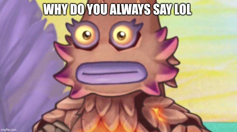 Stare | Why do you always say lol | image tagged in stare | made w/ Imgflip meme maker